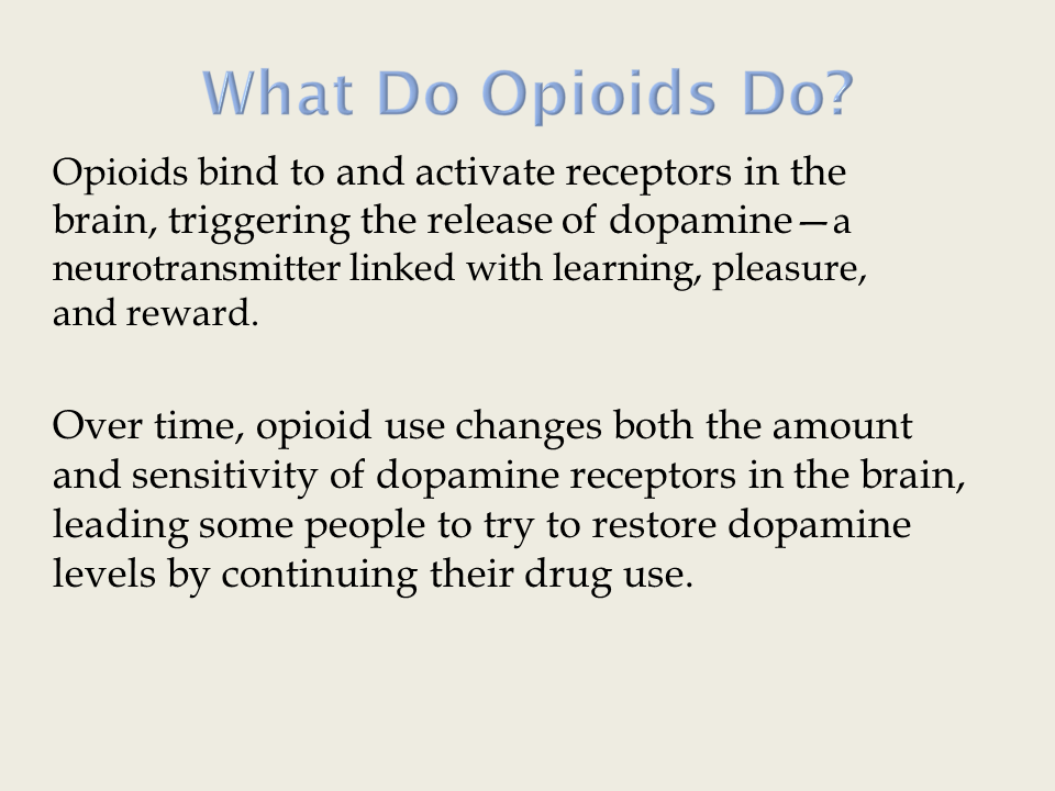 Slide 6: What do Opioids Do?
